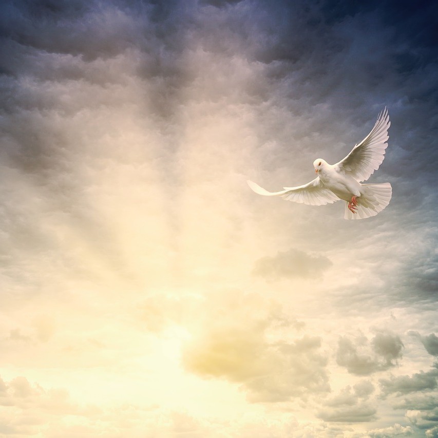 light-5315917_1280~2